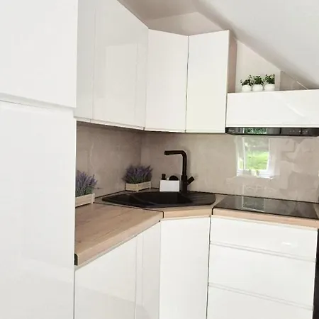 Aleklimat - Wśród Zieleni - Obok Wyjścia Na Szlak Apartament *