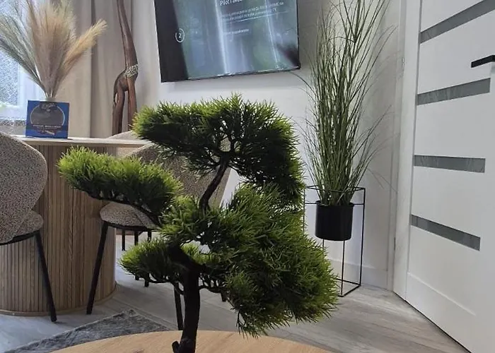 Aleklimat - Wśród Zieleni - Obok Wyjścia Na Szlak